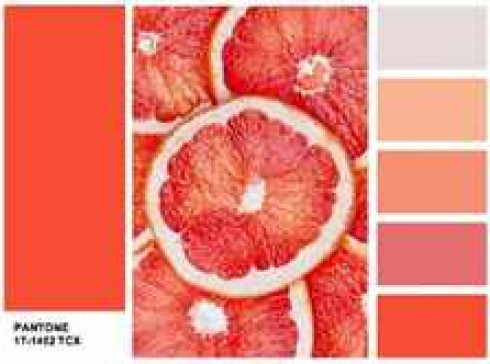 PANTONE-17-1462-Flame-1-e1474979834582
